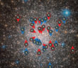 Pulsar Jackpot in a Star Cluster Terzan 5