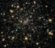 When a Star and a Binary Meet globular cluster
