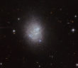 Exploring Our Low-Mass Neighbors UGC 11411 Hubble