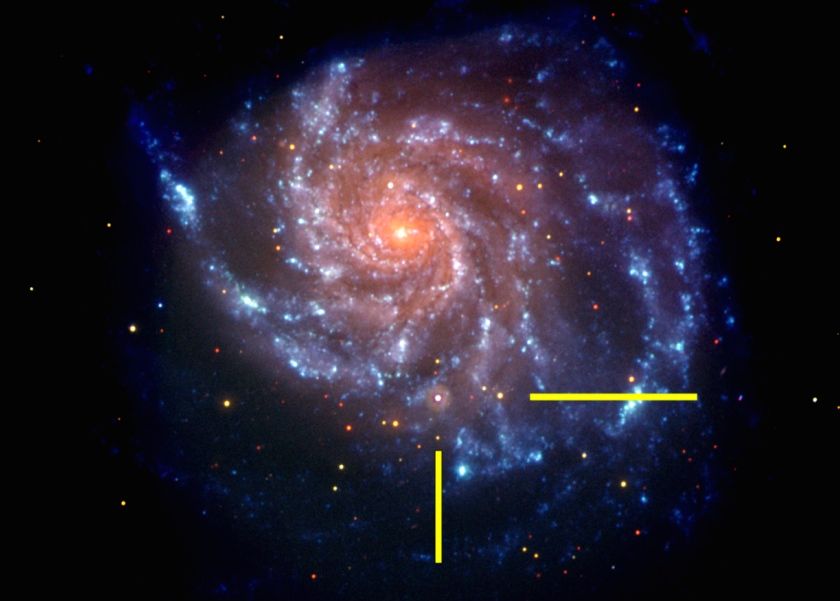 selections-from-2015-two-kinds-of-type-ia-supernovae-aas-nova