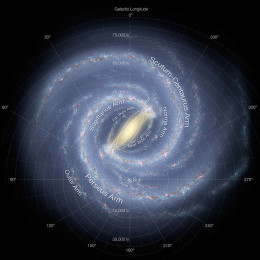 Milky Way bar and disk