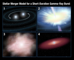 diagram illustrating 4 stages of a neutron-star merger.