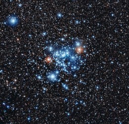 Blue stragglers in the open star cluster NGC 3766. [ESO]