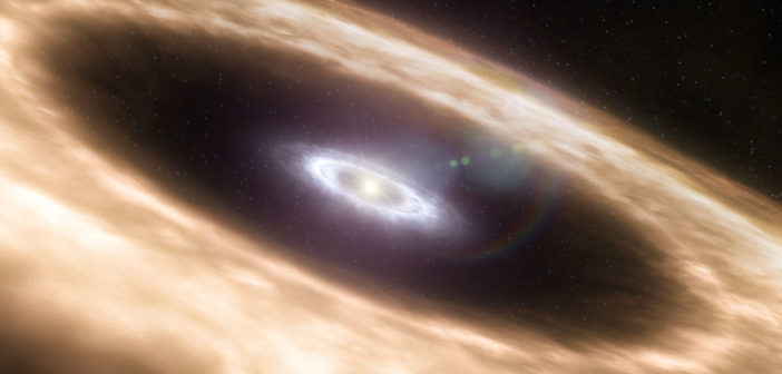 protoplanetary disk