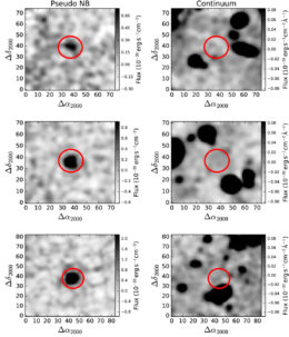 dark galaxy candidates