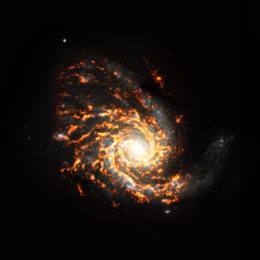 A bright orange spiral galaxy on a black background.