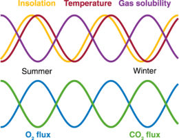 seasonal variations in gases