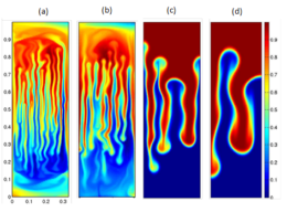 Salt finger simulation