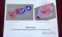 active region magnetic fields