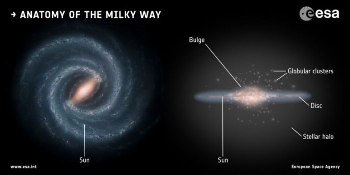 anatomy of the Milky Way