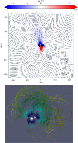 BNS misaligned magnetic fields