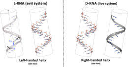 handed helices