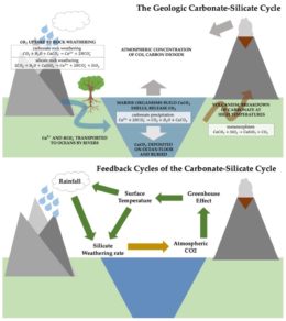 Carbonate-Silicate Cycle