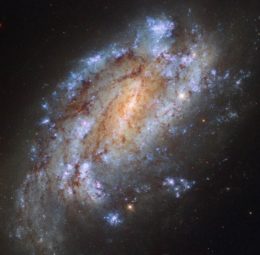 NGC-1559