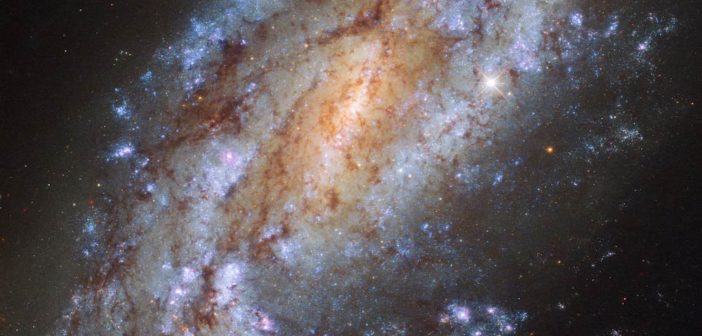 NGC-1559
