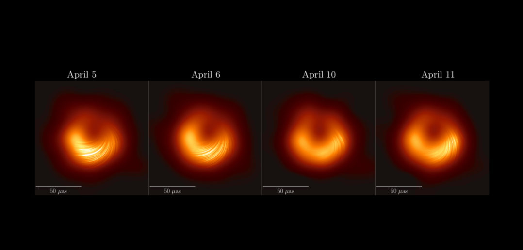 Event Horizon Telescope Traces Fields Around a Black Hole