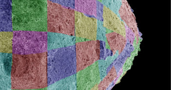 Image of the surface of a small, rocky, rough asteroid, overlaid with a grid of ~50 colored tiles.