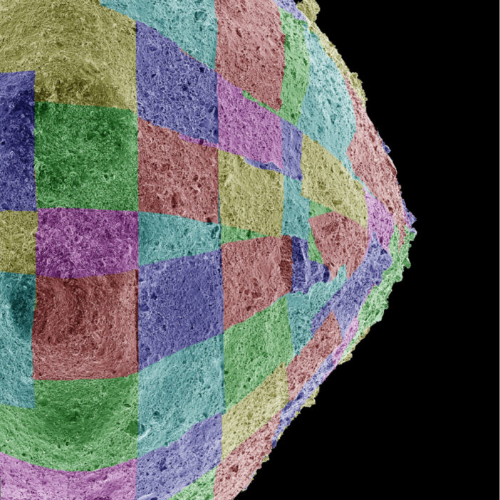 Image of the surface of a small, rocky, rough asteroid, overlaid with a grid of ~50 colored tiles.