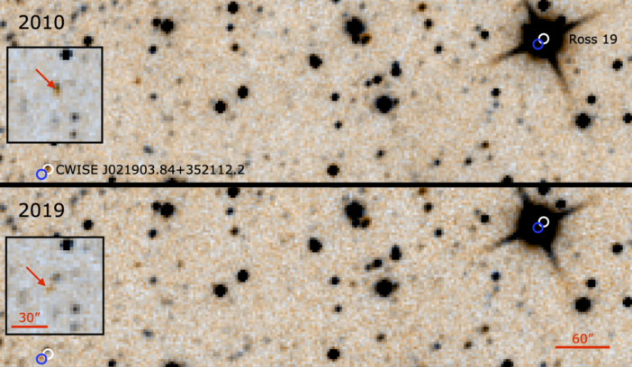 Two negative-color images from the WISE mission arrayed vertically, showing black stars and other objects against a tan background. The top image is labeled 2010 and the bottom image is labeled 2019. Each image has two pairs of blue and white circles, showing the positions of Ross 19A and Ross 19B, as well as a square with a zoomed in image of Ross 19B.
