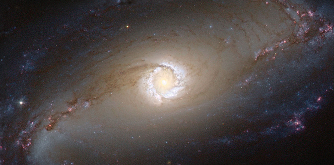 A beautiful barred spiral stretches out from a round, bright yellow glowing core. The stars shift from yellow to white to bluish, and dark filaments are laced with pink active star-forming regions.