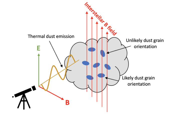 Cartoon showing a gas cloud with a vertically oriented magnetic field. Elongated dust grains aligned parallel to the magnetic field (i.e., their long dimension is parallel to the magnetic field lines) are labeled “unlikely dust grain orientation.” Elongated dust grains aligned perpendicular to the magnetic field are labeled “likely dust grain orientation.” A sine curve representing the thermal emission from the dust grain emerges from the cloud, traveling toward a telescope.