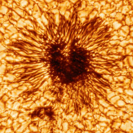 a large, dark sunspot surrounded by a pattern of solar granules