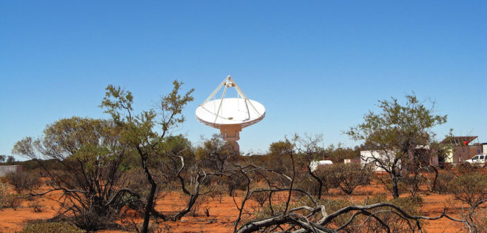 a single radio dish points at the sky, with gnarled trees and shrubs in the foreground