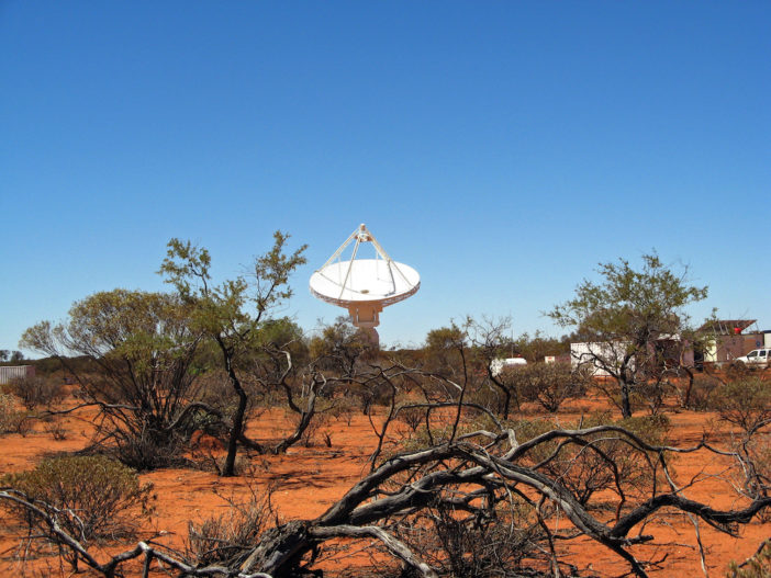 a single radio dish points at the sky, with gnarled trees and shrubs in the foreground