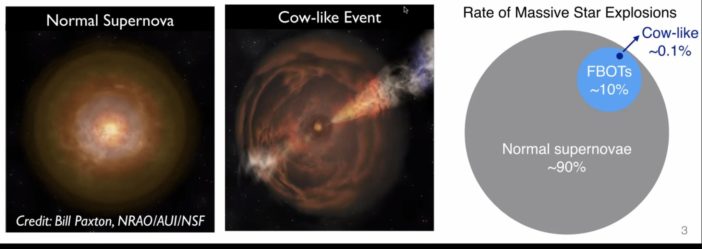 Three paneled image showing a normal supernova, cow-like event, and a diagram of how rare cow-like events are.