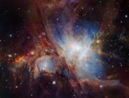 infrared image of the stars and protostars in the orion nebula