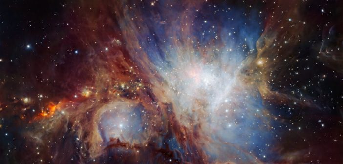 infrared image of the stars and protostars in the orion nebula