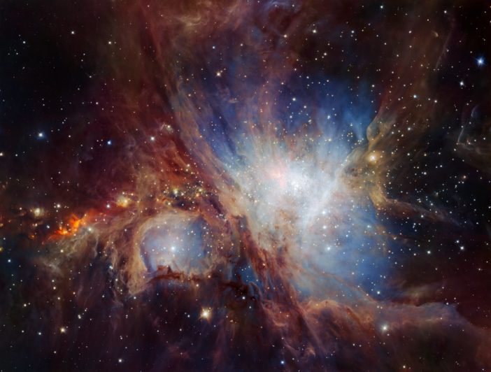 infrared image of the stars and protostars in the orion nebula
