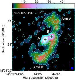 radio observations of the disk around a protostellar binary system