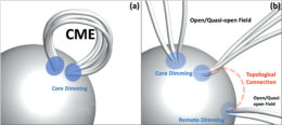 Diagram showing that CMEs emanate from core dimming spots and another showing core dimming and remote dimming with a topological connection with open/quasi-open field lines coming from both dimming areas