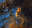 astrophotograph of the pelican nebula