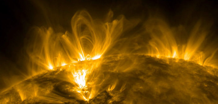image of coronal loops on the Sun