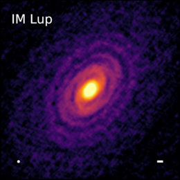 radio image of the disk around IM Lupi