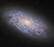 Hubble Space Telescope image of the dwarf spiral galaxy NGC 5949