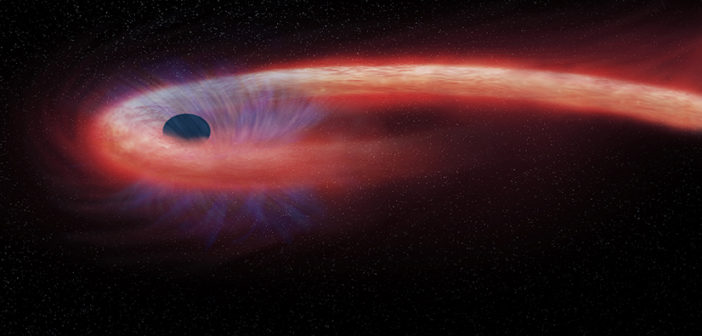 Black hole with a ring around it that has a tail, which shows the black hole pulling material off a star that's out of the frame.