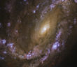Hubble image of spiral galaxy NGC 4051