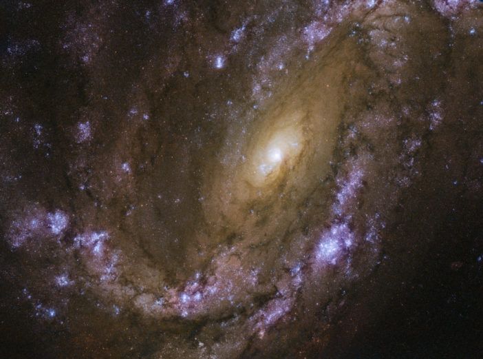 Hubble image of spiral galaxy NGC 4051