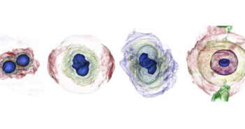 simulations of neutron stars merging