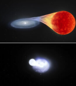 illustrations of the two main Type Ia supernova pathways