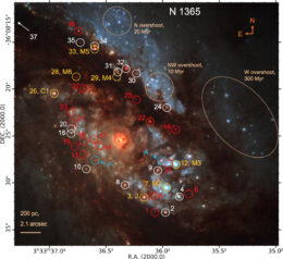 image of the galaxy NGC 1365 with known and new star clusters labeled