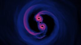 simulation of a supermassive black hole binary system