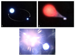 An illustration of the binary origin for stripped-envelope supernovae