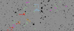 JWST image of the quasar field