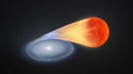 Illustration of a white dwarf accreting gas from a red giant companion star