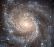 Messier 101 aka the Pinwheel Galaxy, site of SN 2023ixf
