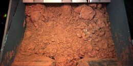 photograph of Martian soil
